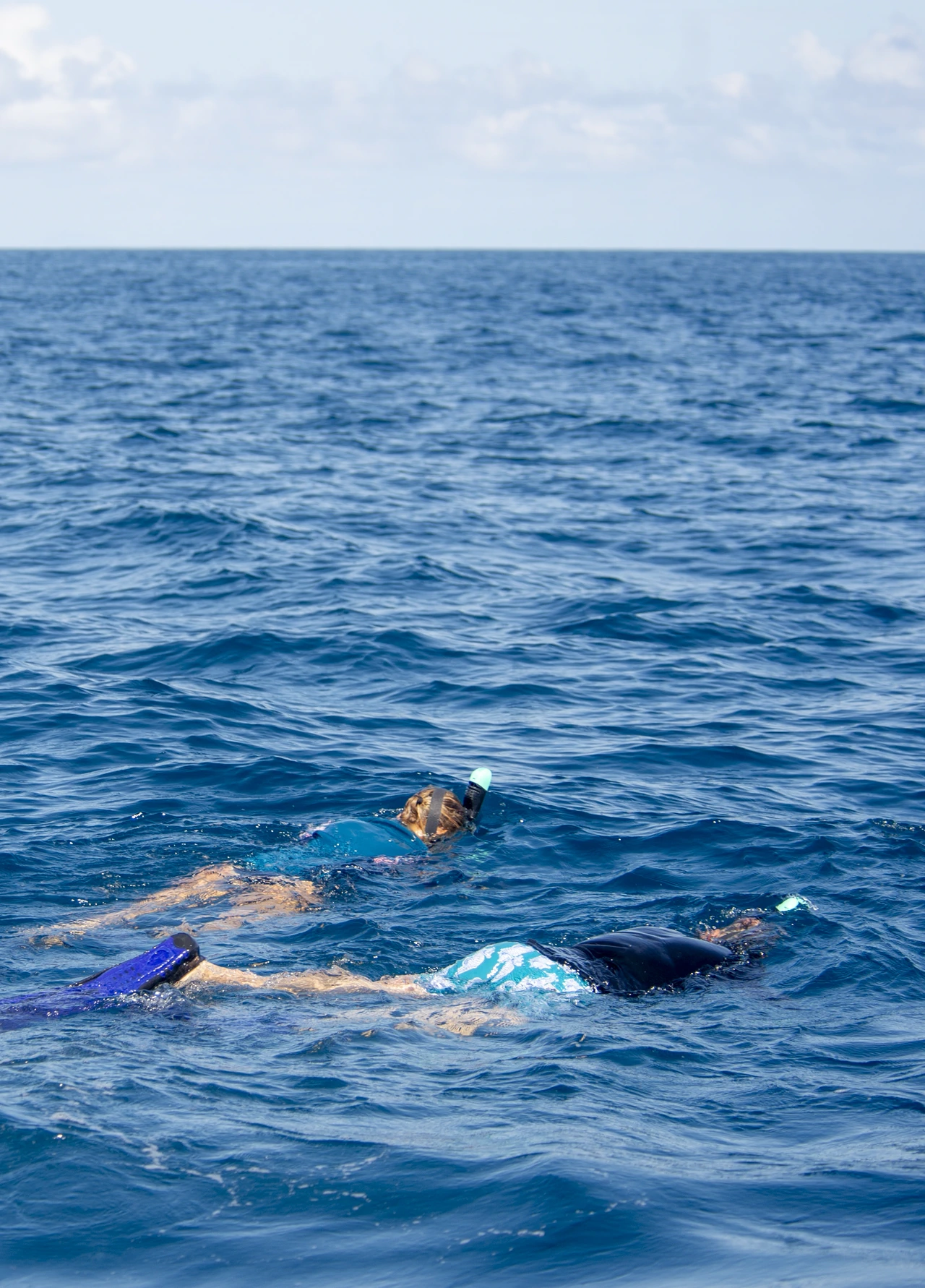 Snorkeling in Zanzibar waters