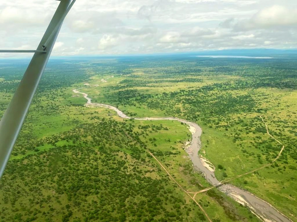 Aerial savannah view